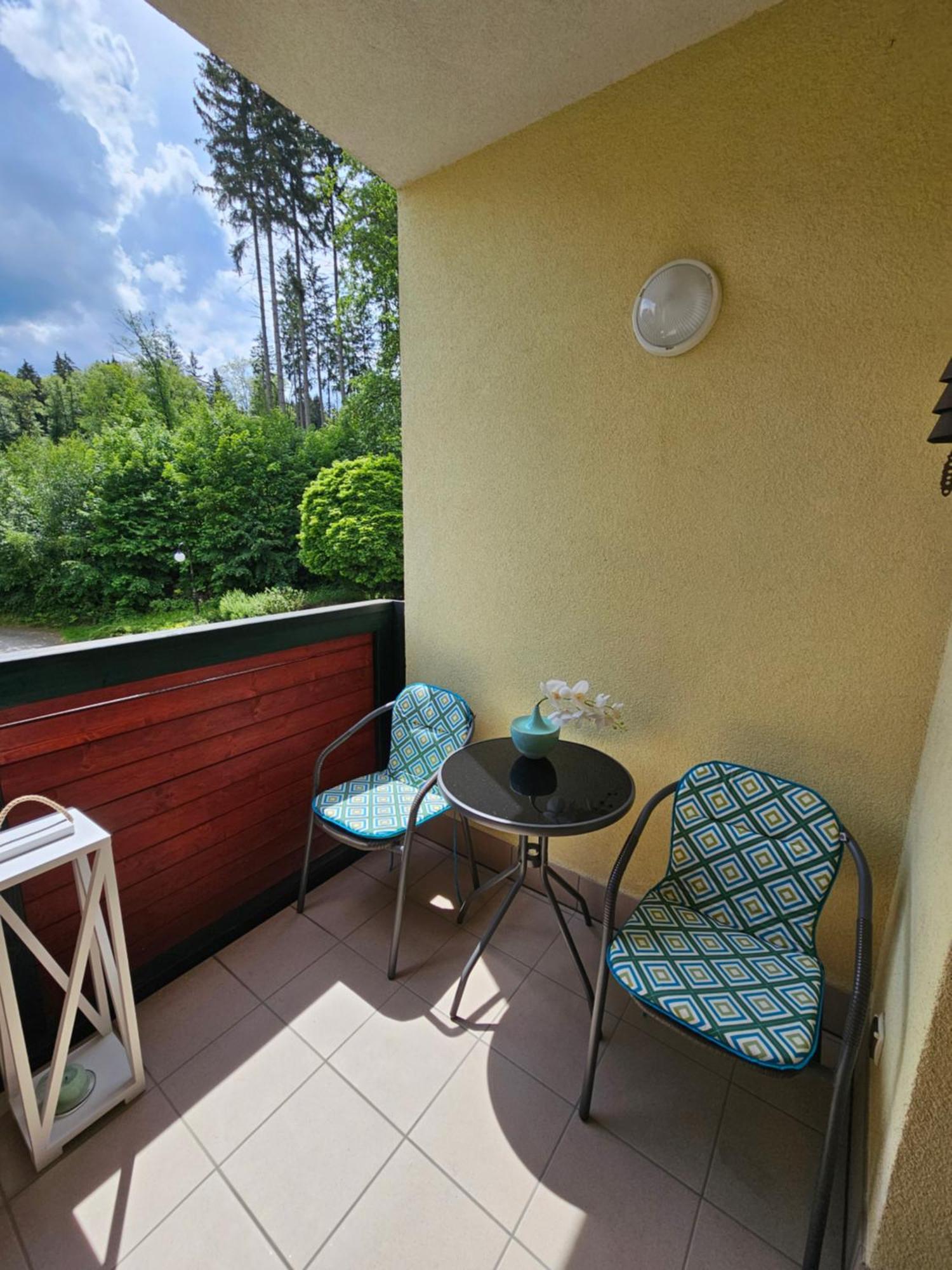 Apartament 16 - Blizej Zdroju Polanica-Zdrój Εξωτερικό φωτογραφία